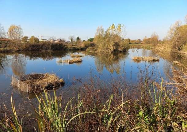 zone umide parco dei mulini