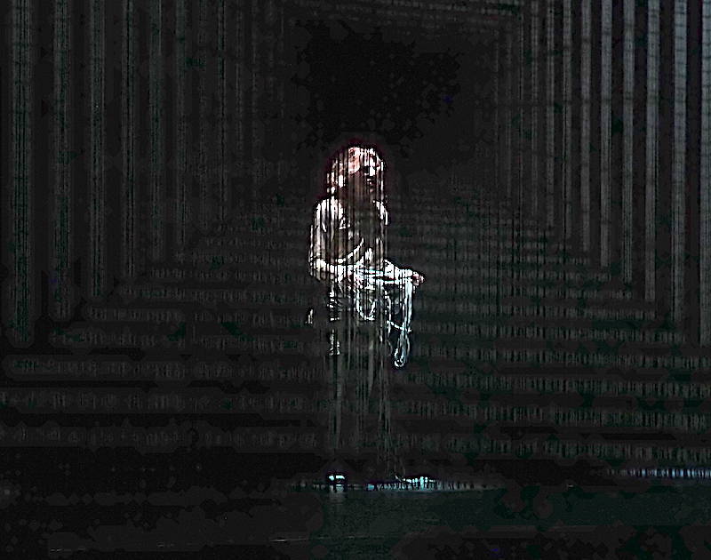 Angela Finocchiaro al Teatro di Varese