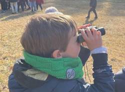 baby birdwatching asilo di luvinate