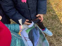baby birdwatching asilo di luvinate