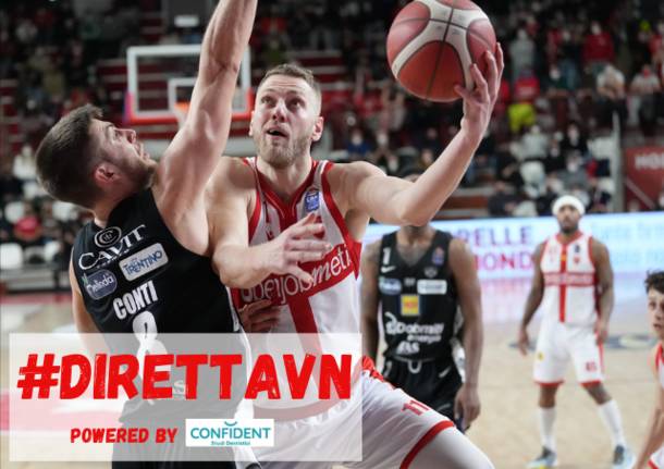 basket direttavn 2022