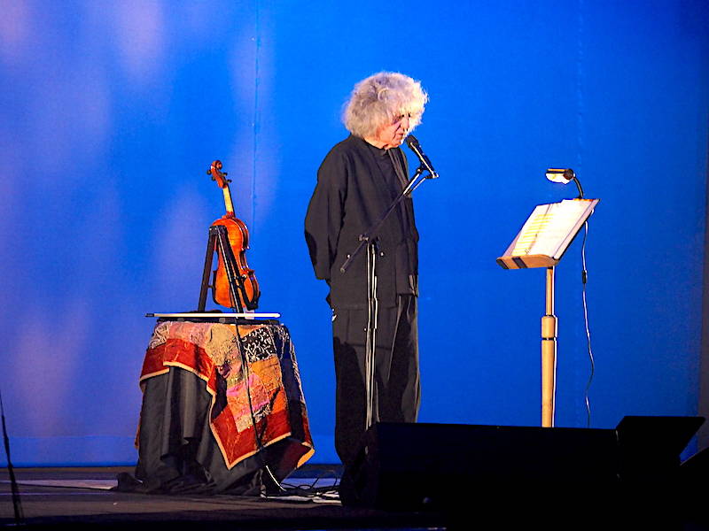 branduardi teatro di varese