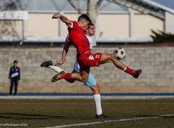 calcio varese chieri