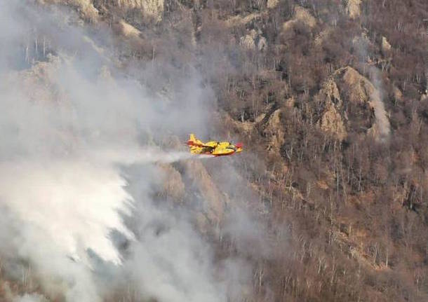 canadair incendio gambarogno 2022