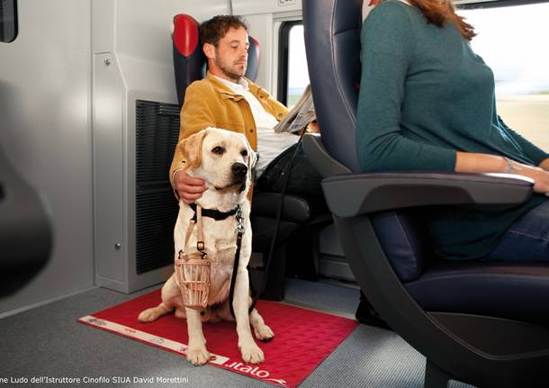 Un posto accanto al padrone, Italo rende più facile viaggiare in treno con il cane