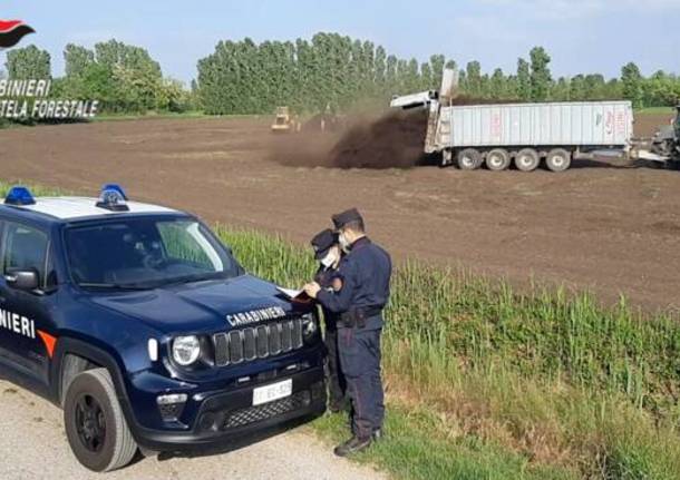 Carabinieri tutela forestale