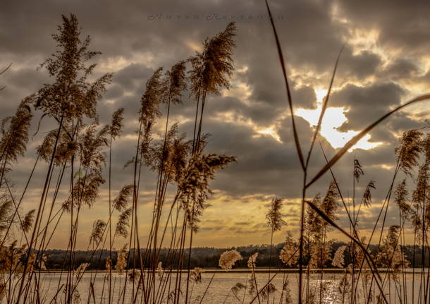 L’alba su Lago di Varese