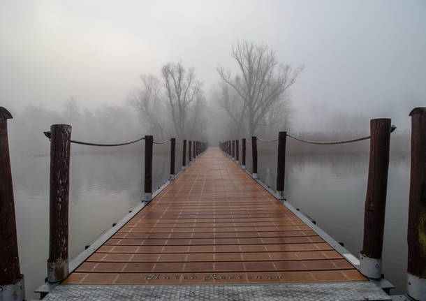 Un ponte per Terabithia
