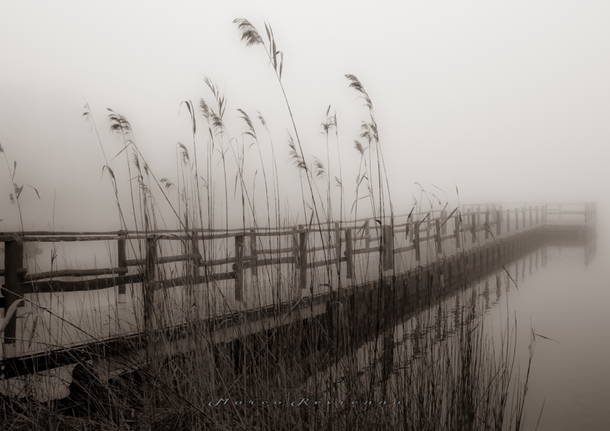 L\'atmosfera magica del Lago di Varese