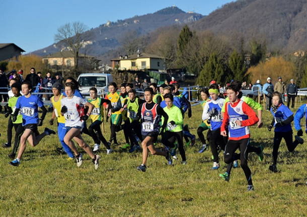 cross di arcisate podismo corsa campestre