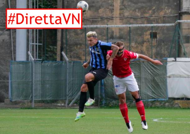 diretta calcio varese
