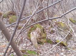 Discarica abusiva Castronno