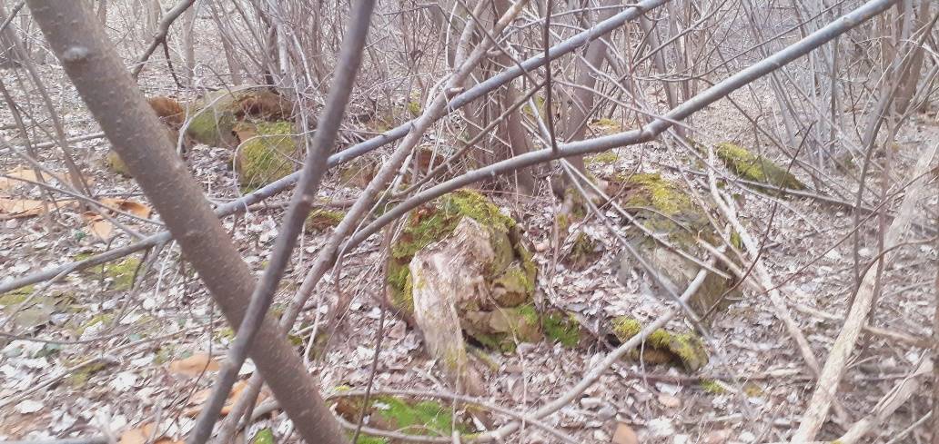 Discarica abusiva Castronno