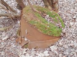 Discarica abusiva Castronno