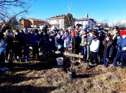 IC Campo dei fiori pianta 4 melograni contro il cancro infantile