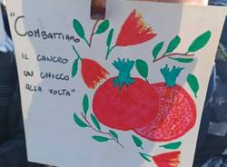 IC Campo dei fiori pianta 4 melograni contro il cancro infantile