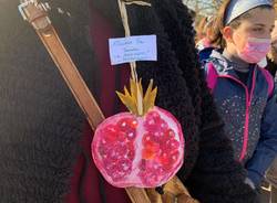 IC Campo dei fiori pianta 4 melograni contro il cancro infantile