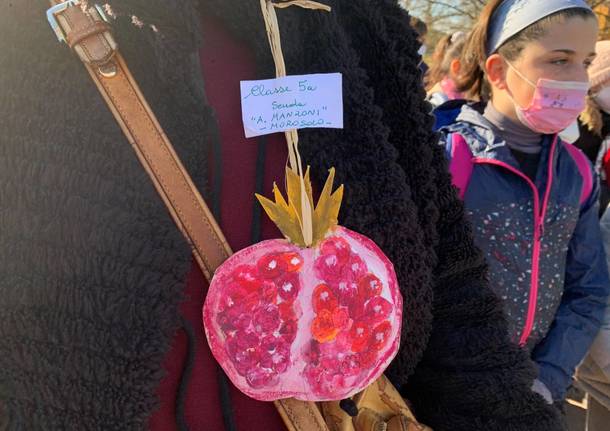 Ic Campo dei fiori e Fondazione Ascoli: 4 melograni contro i tumori pediatrici