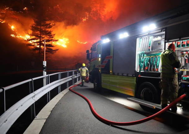 incendio gambarogno 1 febbraio 2022 foto pompieri bellinzona