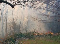 incendio monte morone malnate