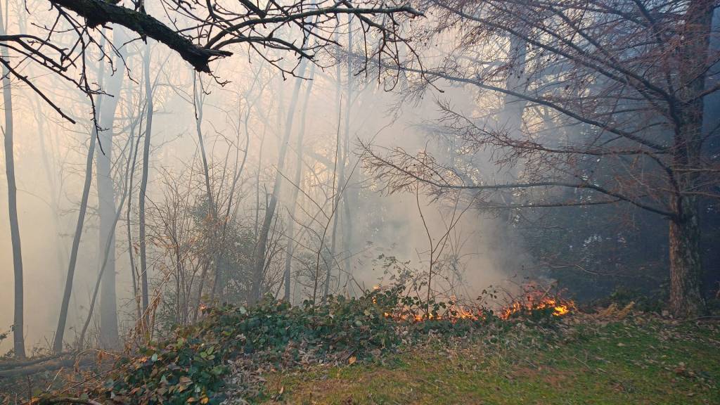 incendio monte morone malnate