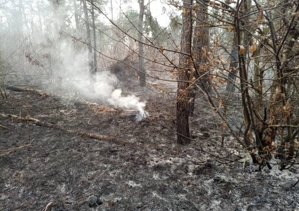 Incendio parco Ticino Golasecca Somma Lombardo 2022