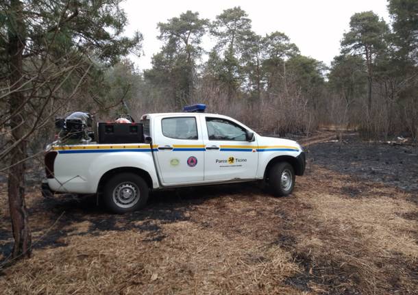 Incendio parco Ticino Golasecca Somma Lombardo 2022