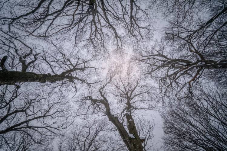 La magia del Sacro Monte dopo la nevicata di San Valentino
