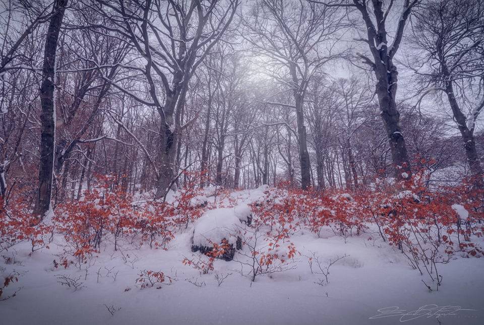 La magia del Sacro Monte dopo la nevicata di San Valentino