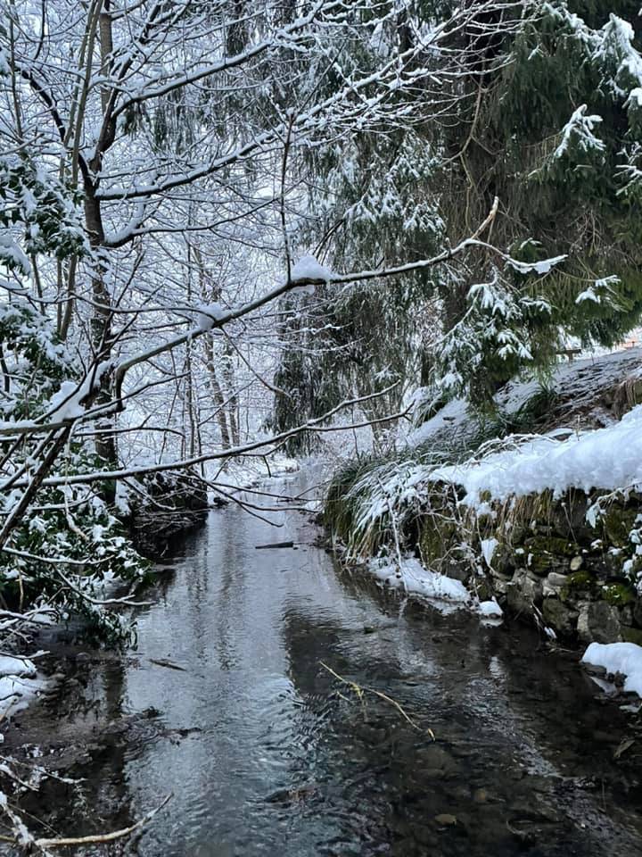 La nevicata sul Varesotto del 14 e 15 febbraio 2022