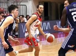 legnano knights