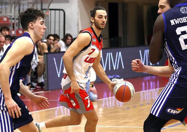 legnano knights