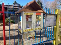 Little free library 