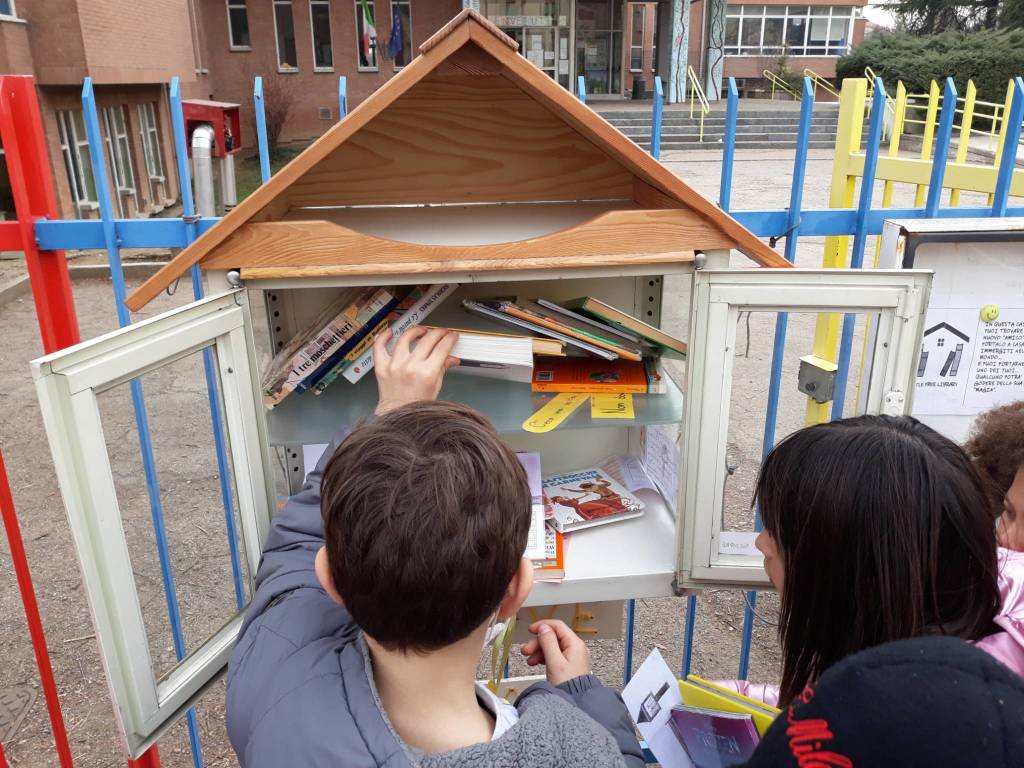 Little free library 
