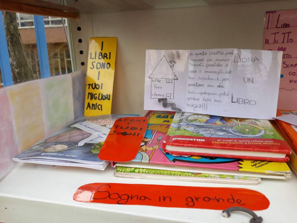 Little free library 