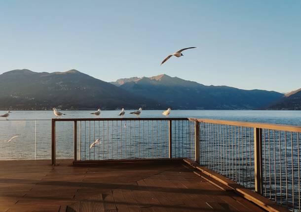 Momenti romantici sul lungolago a Luino