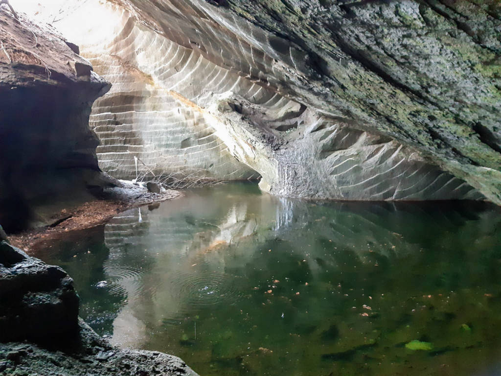 nuova cava molera malnate