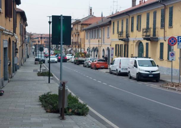 nuovi alberi viale villoresi nerviano