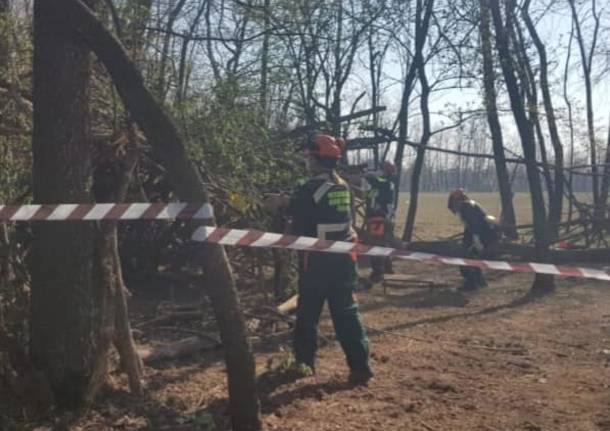 parco alto Milanese - Protezione civile