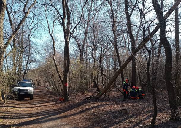 Protezione Civile legnano- Parco Alto Milanese