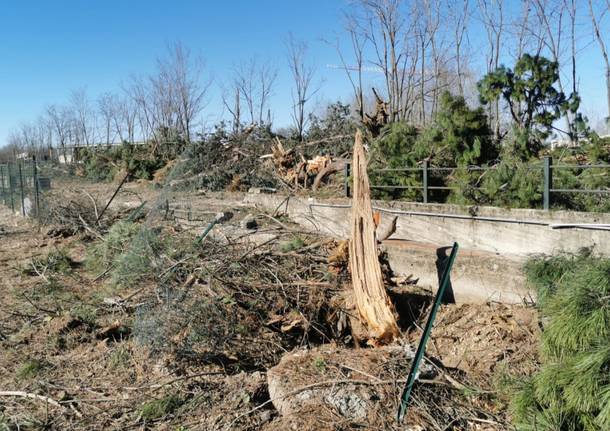 Tetti scoperchiati e alberi abbattuti, i danni del forte vento nel Saronnese 