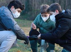 Tutela anfibi basso verbano