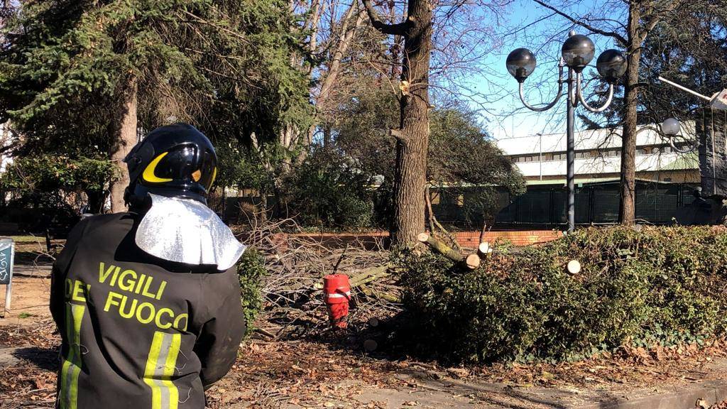 Vento forte - alberi abbattuti a Legnano e zona 