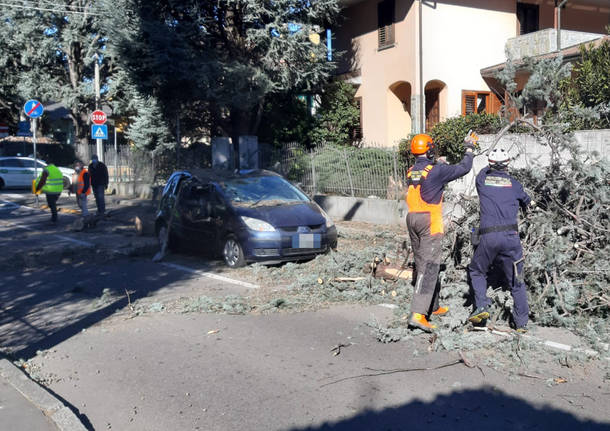 vento forte san giorgio su legnano