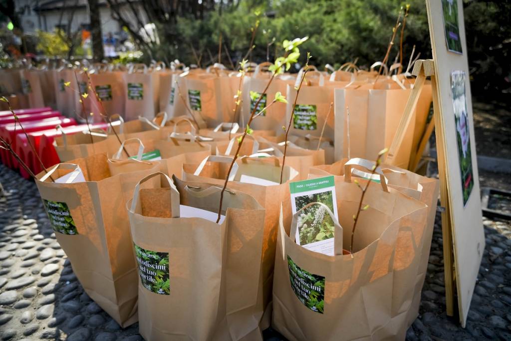 2.500 custodi hanno ritirato la piantina di Forestami