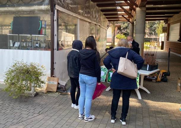 I canegratesi hanno preso in custodia le piantine di Forestami