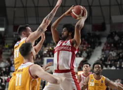 basket