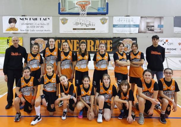 bulldog basket canegrate under 13