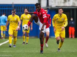 calcio ligorna varese