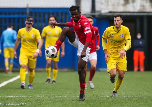 calcio ligorna varese